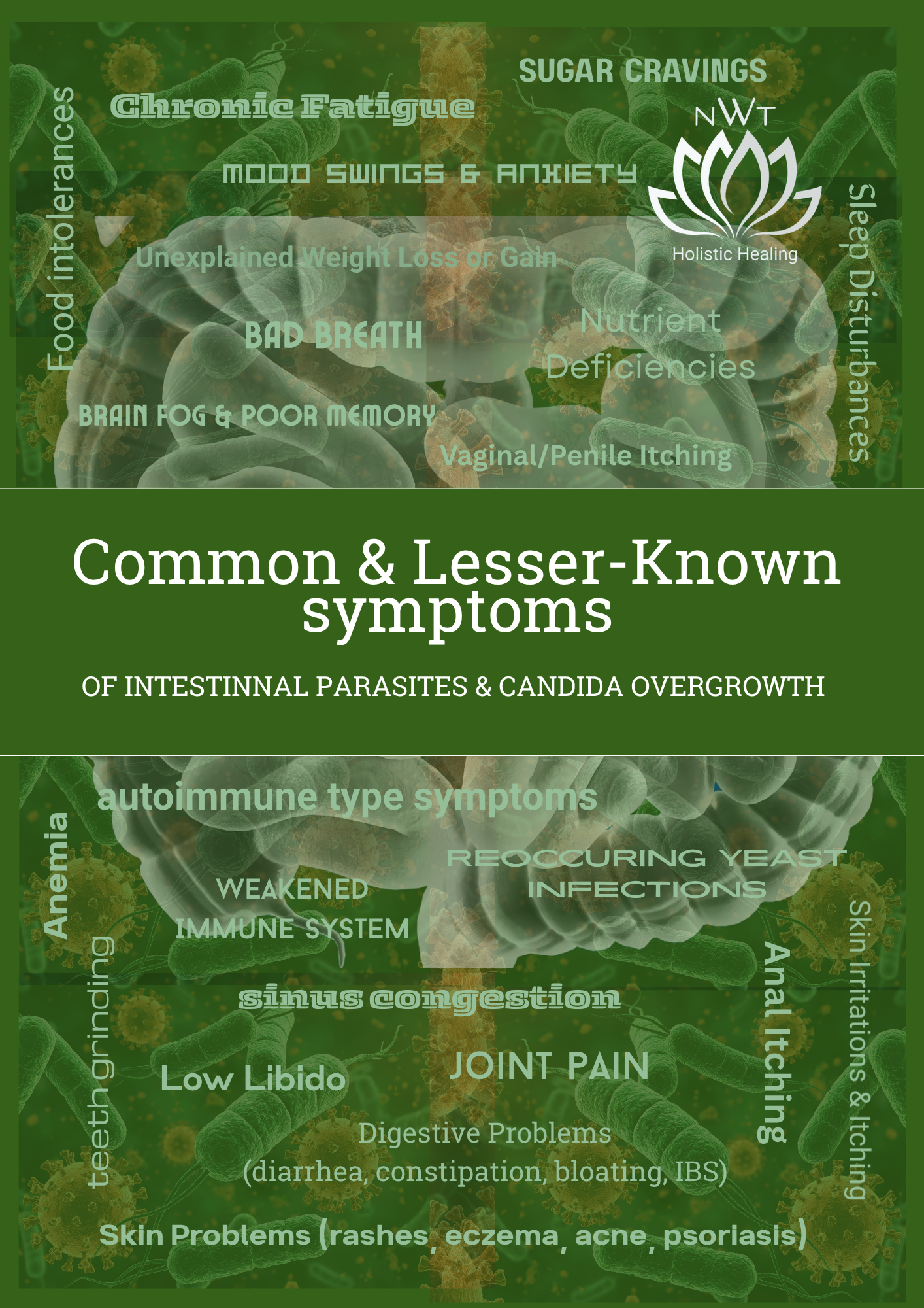 TUMMY SUPPORT - Image 3